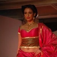 Palam Silk Fashion Show 2011 Pictures | Picture 74221